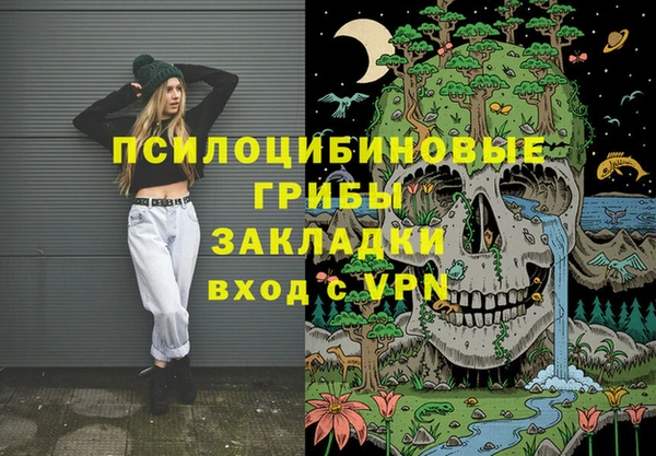 2c-b Лабытнанги