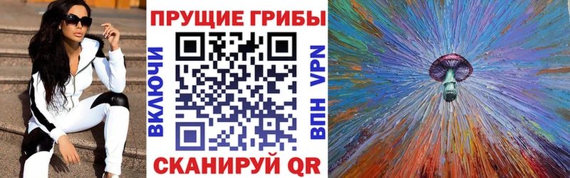 blacksprut ссылка  Северобайкальск  Псилоцибиновые грибы Cubensis 