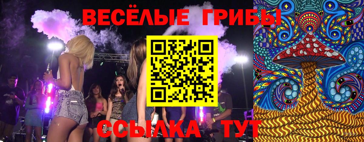 Псилоцибиновые грибы мицелий  Псилоцибиновые грибы Psilocybine cubensis  Вход с VPN  Северобайкальск 